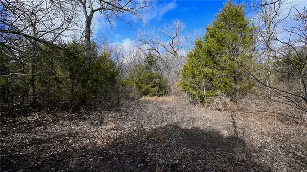 5633 Dixie School Rd, Montague, TX 76255