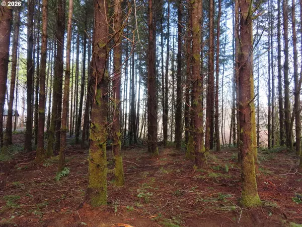 Cosmopolis, WA 98537,2431 N RIVER RD