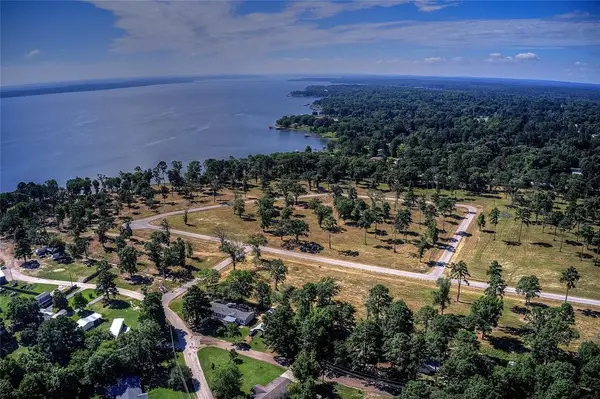 20609 Wycliff Drive, Chandler, TX 75758