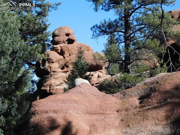 6294 Troon CT, Larkspur, CO 80118