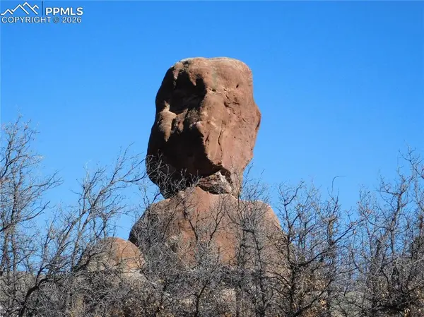 6294 Troon CT, Larkspur, CO 80118