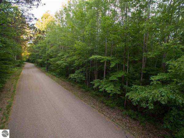 Lot 47 Bramblewood DR, Haring Twp, MI 49601