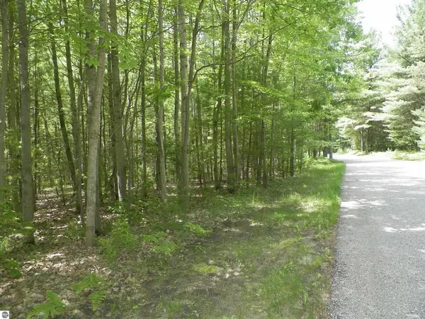 Lot 47 Bramblewood DR, Haring Twp, MI 49601