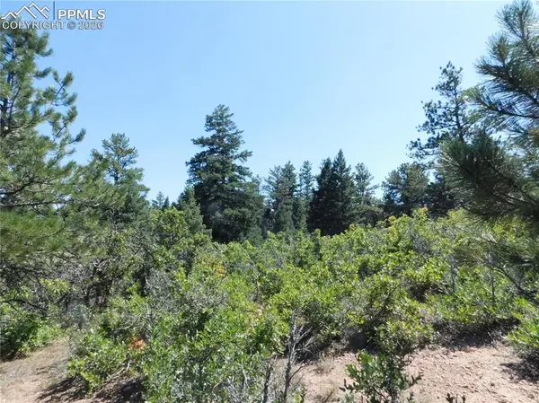 Lot 9 Troon CT, Larkspur, CO 80118