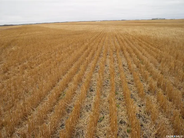 Rural Address, Birch Hills Rm No. 460, SK S0K 0G0