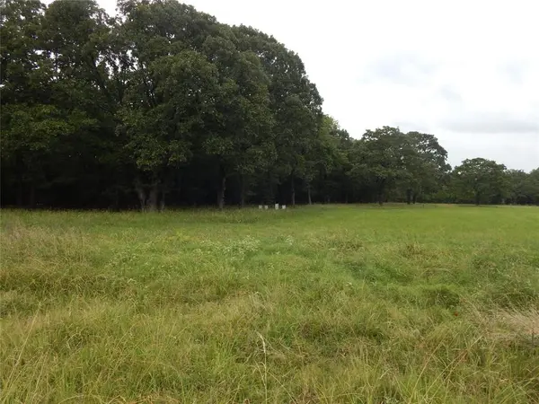 14 & 46 Lakeside Estates, Bagwell, TX 75412