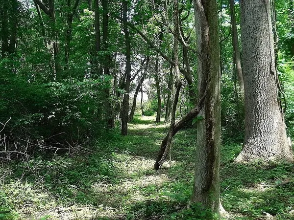 0 Mellicks Woods Rd, Pohatcong Twp., NJ 08804