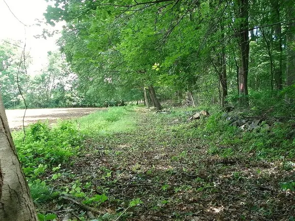 0 Mellicks Woods Rd, Pohatcong Twp., NJ 08804