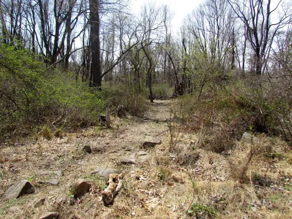 0 Mellicks Woods Rd, Pohatcong Twp., NJ 08804