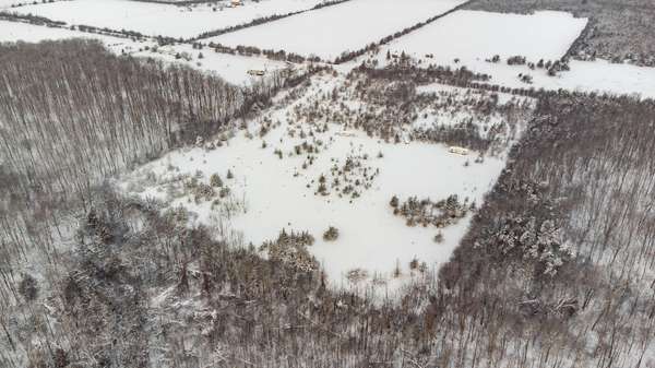 122 Ivy Ridge RD, Prince Edward County, ON K0K 1T0