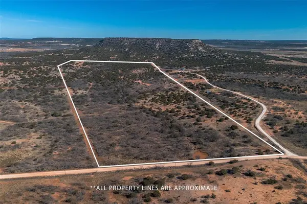 T3 County Road 175, Winters, TX 79567