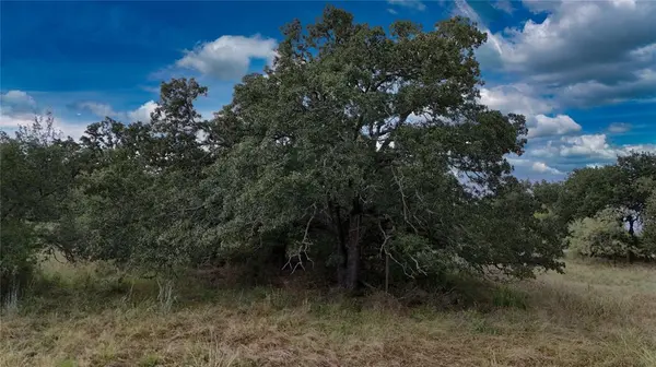 Weatherford, TX 76088,3879 Zion Hill Road