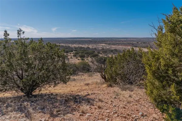 T2 County Road 175, Winters, TX 79567