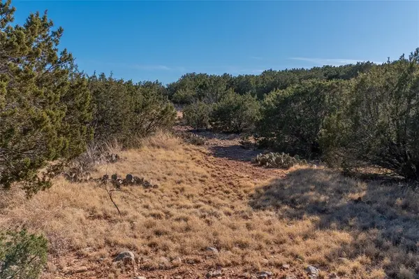 T2 County Road 175, Winters, TX 79567