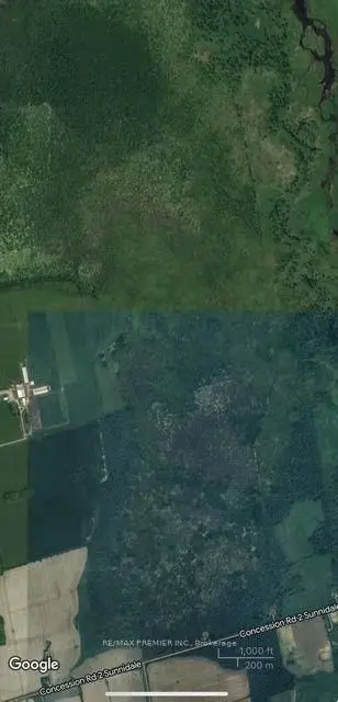 Clearview, ON L0M 1N0,4488 Concession 3 RD