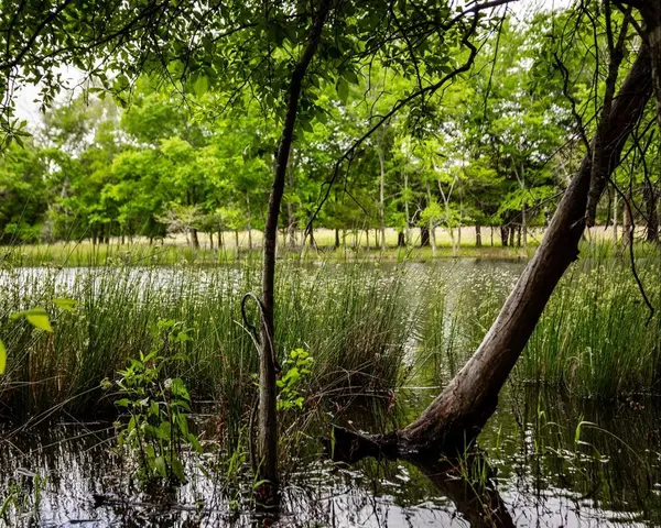 540 Vz County Road 2916, Eustace, TX 75124