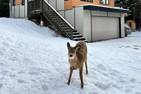 Constance Bay - Dunrobin - Kilmaurs - Woodlawn, ON K0A 1T0,3311 Barlow CRES