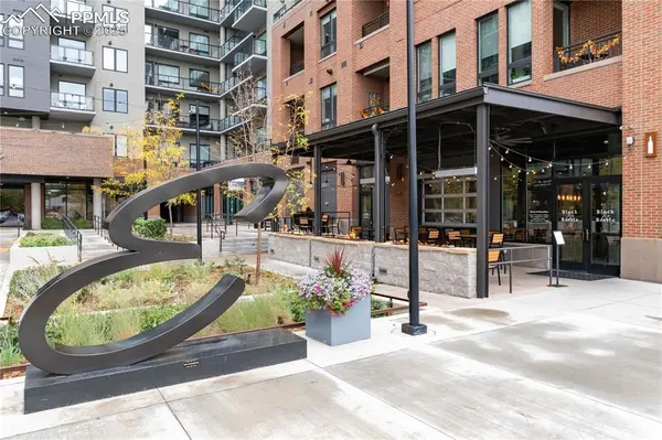 20 Wilcox ST #503, Castle Rock, CO 80104