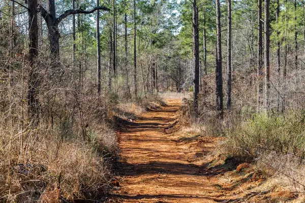 Ben Wheeler, TX 75754,TBD State Highway 64