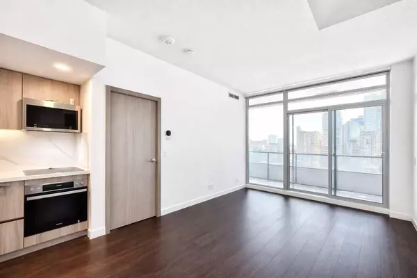 Toronto C01, ON M5V 3M6,38 Widmer ST #3105