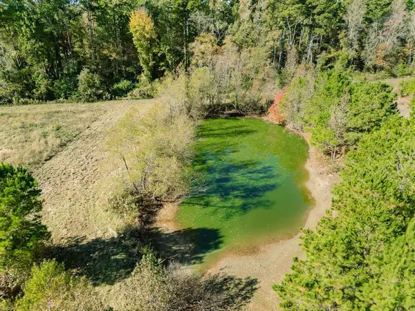 7697 N State HWY 155, Gilmer, TX 75644