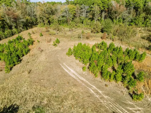 7697 N State HWY 155, Gilmer, TX 75644