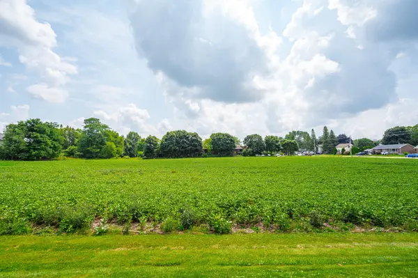 20 Part Lot Con 1 N/A, Minto, ON N0G 2P0