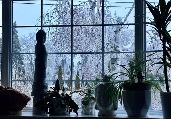 Trent Hills, ON K0L 1L0,233 Market ST