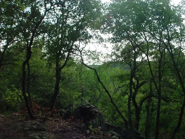 6H Stagecoach Trail, Gordon, TX 76453