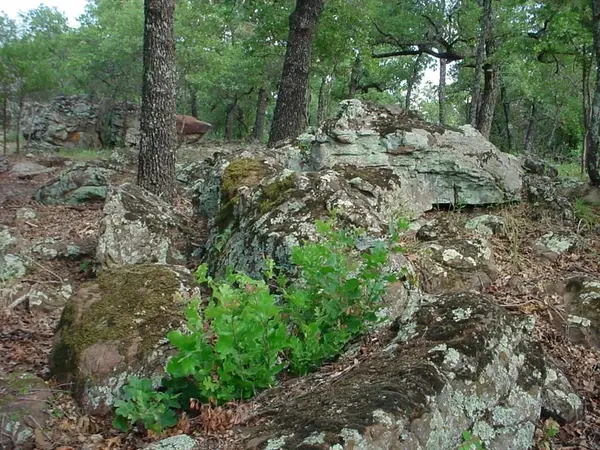 6H Stagecoach Trail, Gordon, TX 76453