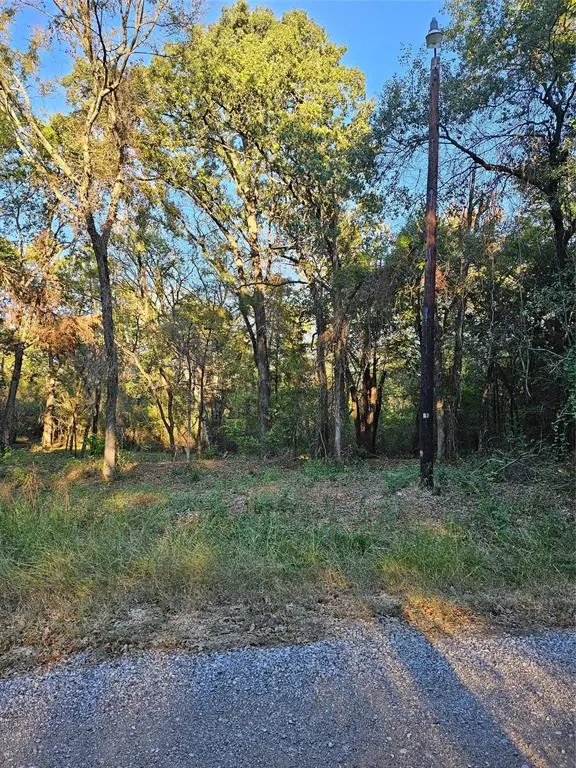 0 Ravenwood Drive, Trinidad, TX 75163