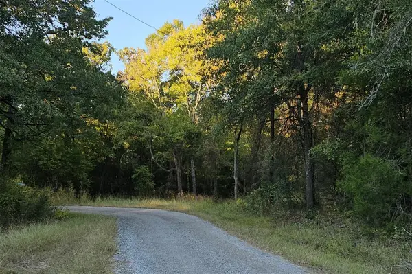 0 Ravenwood Drive, Trinidad, TX 75163