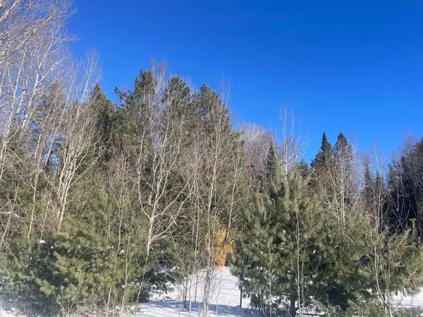 Pt Lt 25 Schutt RD,  Brudenell,  Lyndoch And Raglan,  ON K0J 2E0