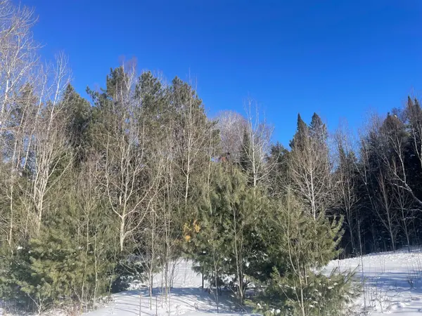 Pt Lt 25 Schutt RD, Brudenell, Lyndoch And Raglan, ON K0J 2E0