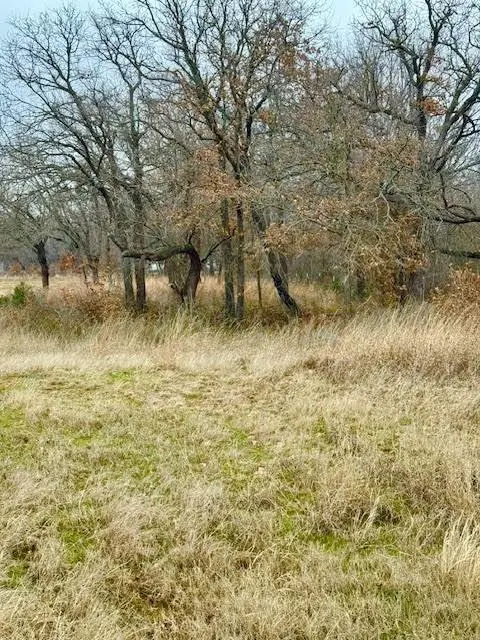 Boyd, TX 76023,702 County Road 3597