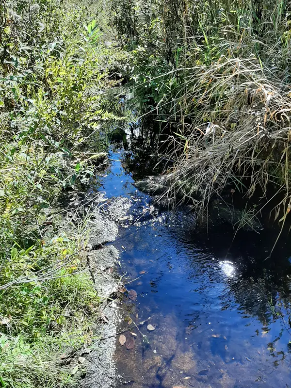 0 PT LT12 CON14 Hwy 37 RD, Tweed, ON K0K 3J0