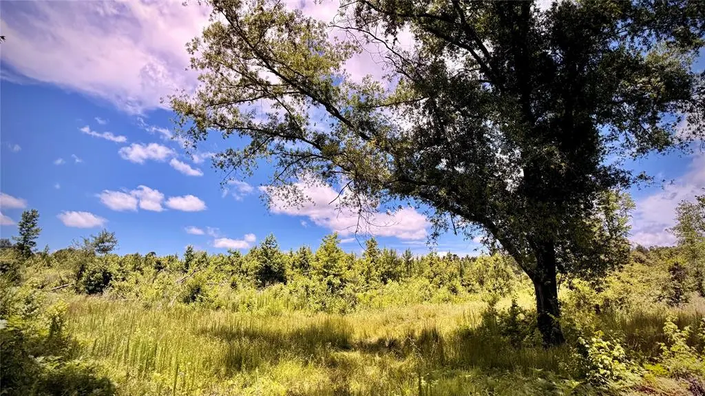 0 Cook, Bernice, LA 71222