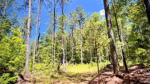 000 William Colvin Road, Bernice, LA 71222