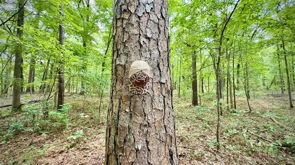 0 Winn School Road, Hosston, LA 71043