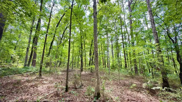 0 Winn School Road, Hosston, LA 71043