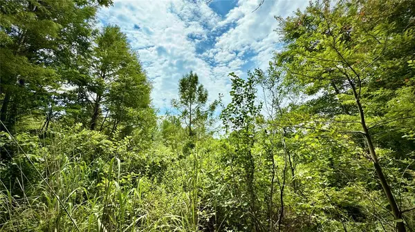 0 Winn School Road, Hosston, LA 71043