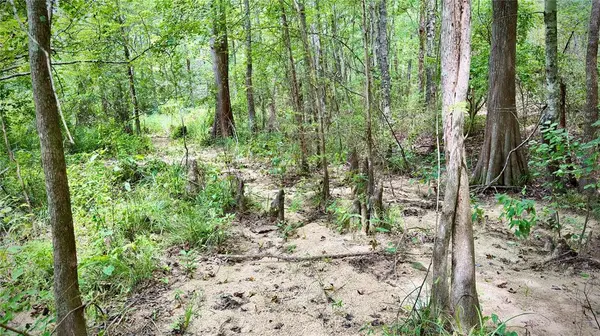 0 Winn School Road, Hosston, LA 71043