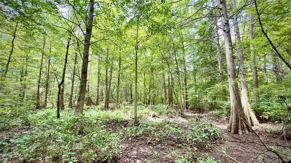 0 Winn School Road, Hosston, LA 71043