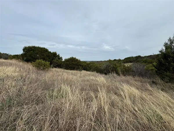 TBD Skyline Drive, Bluff Dale, TX 76433