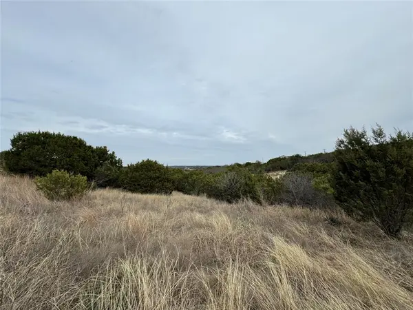 TBD Skyline Drive, Bluff Dale, TX 76433