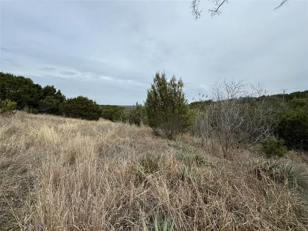 TBD Skyline Drive, Bluff Dale, TX 76433