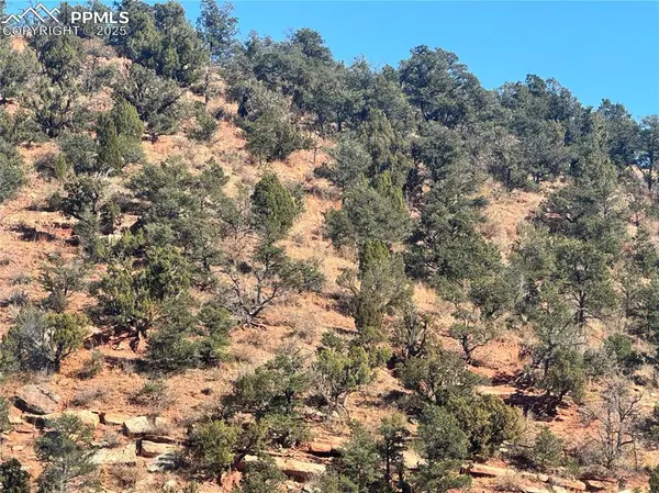 Tarrant ST, Manitou Springs, CO 80829