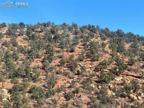 Tarrant ST, Manitou Springs, CO 80829