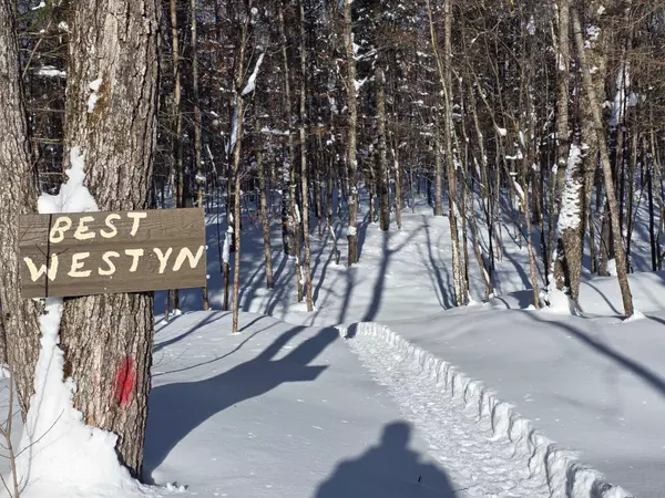 Dysart Et Al, ON K0M 1S0,1453 Minnicock Lake RD