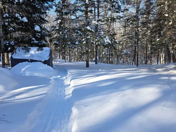 Dysart Et Al, ON K0M 1S0,1453 Minnicock Lake RD